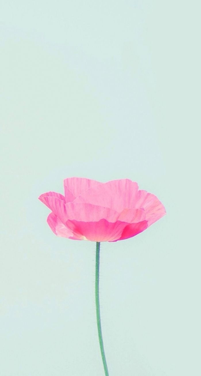 700x1310 Simple iPhone Wallpaper, Phone