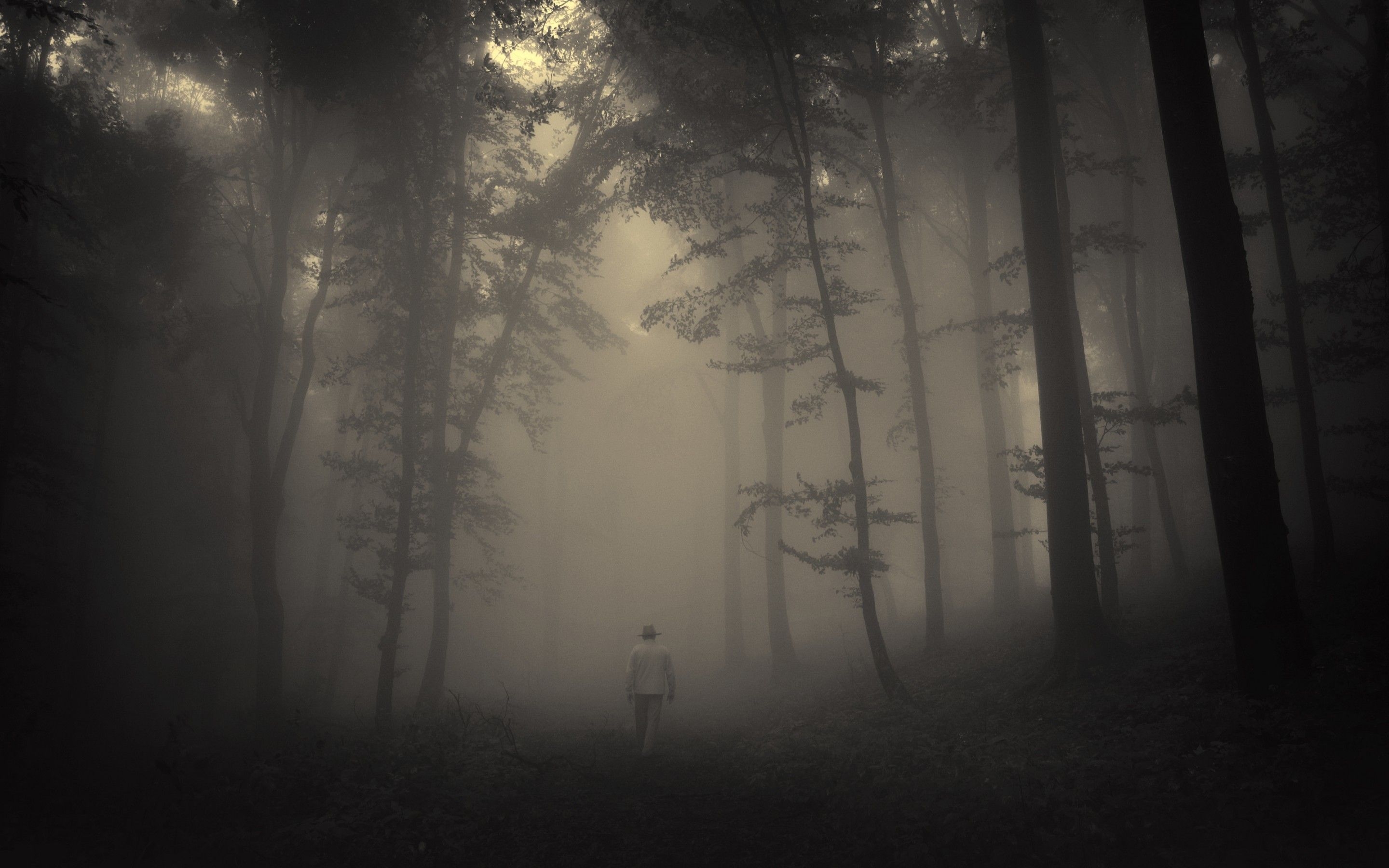 2880x1800 Creepy Foggy Wallpaper, Desktop