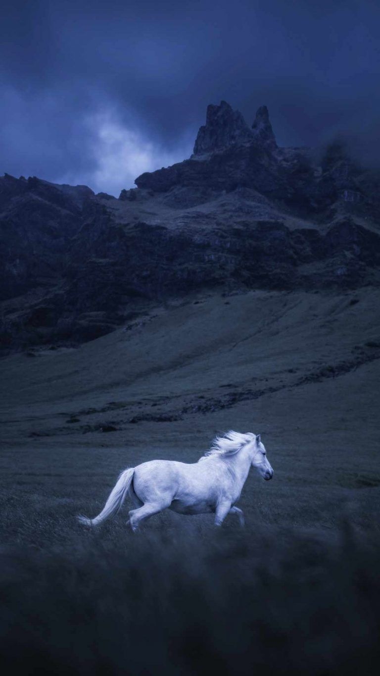 770x1370 Nature Wallpaper Wallpaper, iPhone Wallpaper. Horse wallpaper, Horse aesthetic, Beautiful horses, Phone