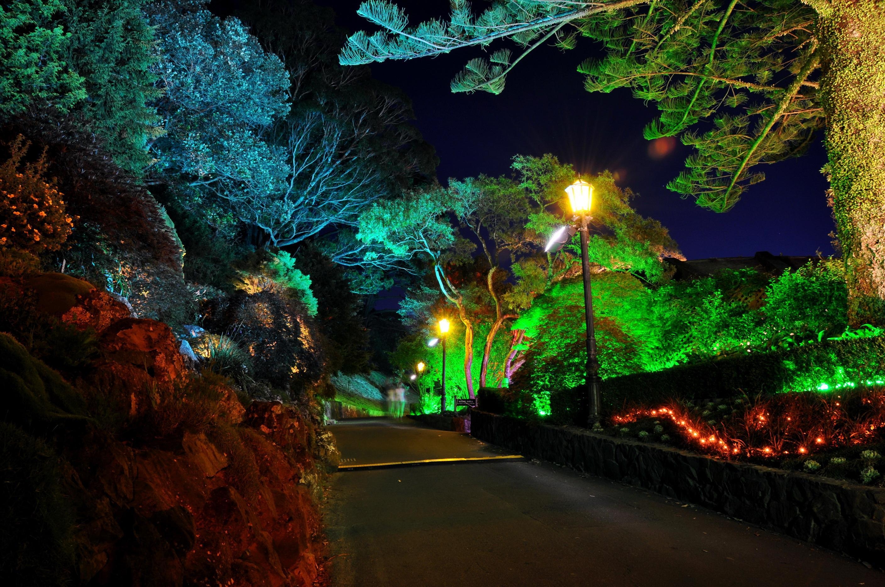 2820x1870 Gardens Roads New Zealand Wellington Botanical Night Street lights, Desktop