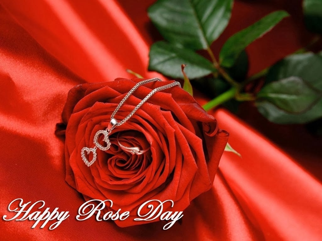 1030x770 Rose Day HD Desktop Wallpaper 12734, Desktop