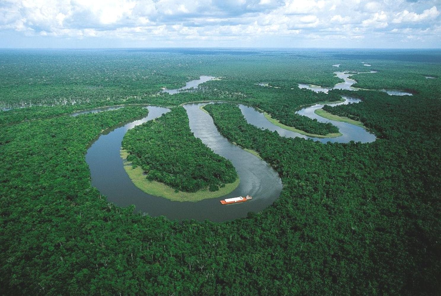 1490x1000 800x533px Amazon River 196.11 KB, Desktop