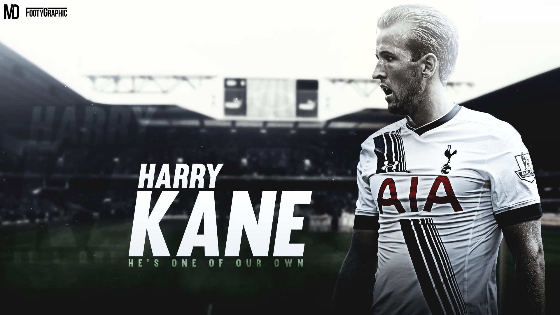 1920x1080 Harry Kane wallpaper, Desktop