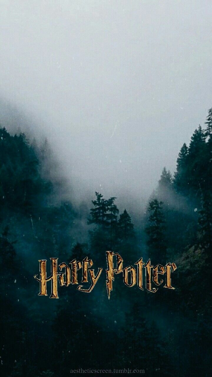 720x1280 Harry Potter Wallpaper iPhone 11, Phone