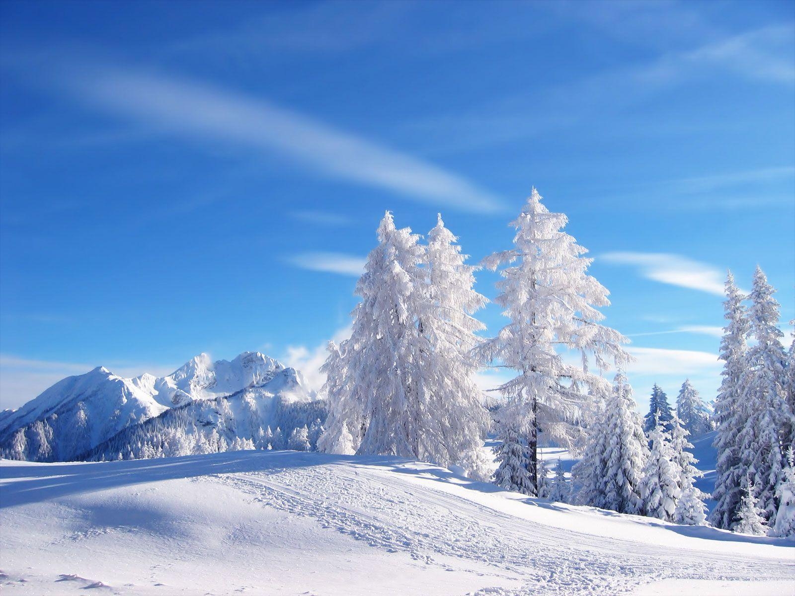 1600x1200 Winter scene wallpaper, Desktop