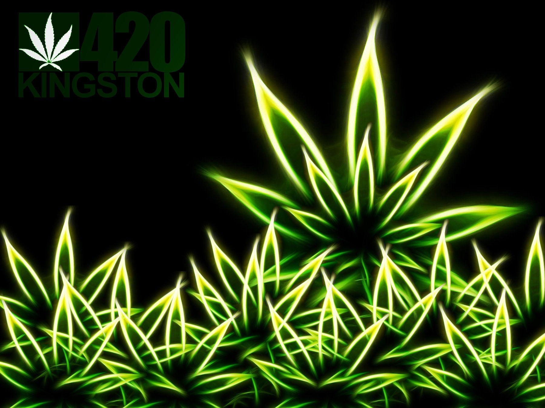 1800x1350 mj weed marijuana leaves wallpaperx1350, Desktop