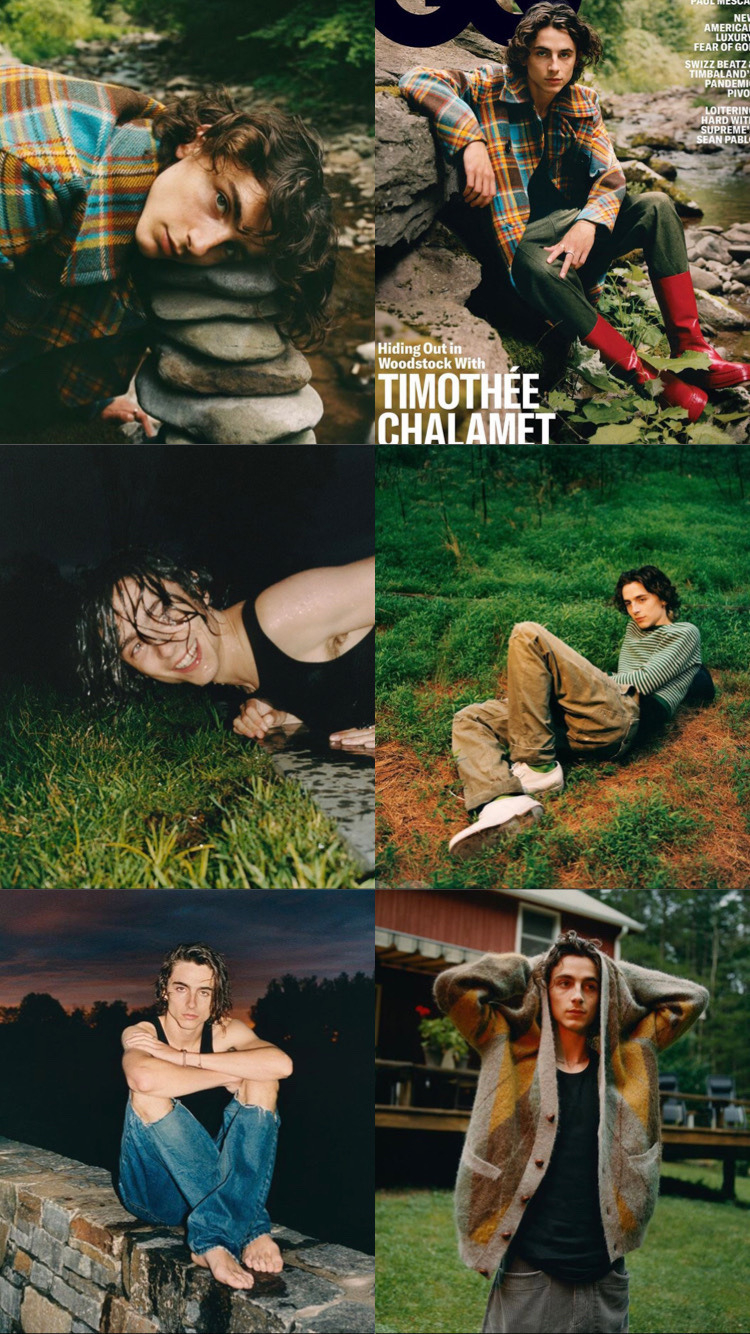 750x1340 Timothée Chalamet [ wallpaper ], Phone