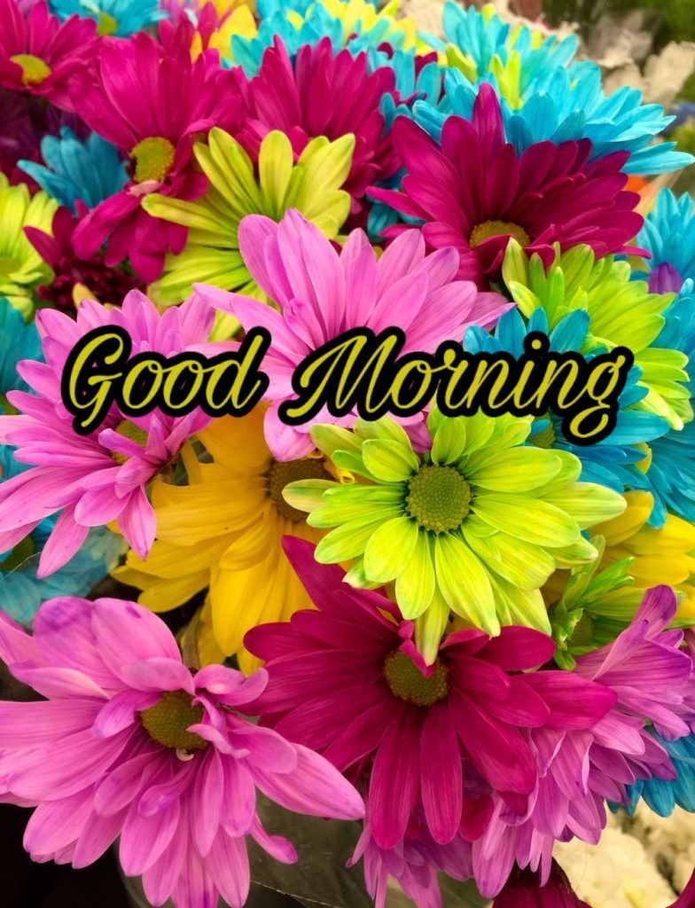 790x1030 Good Morning Image With Flowers HD Good Morning Flowers HD Wallpaper, Phone