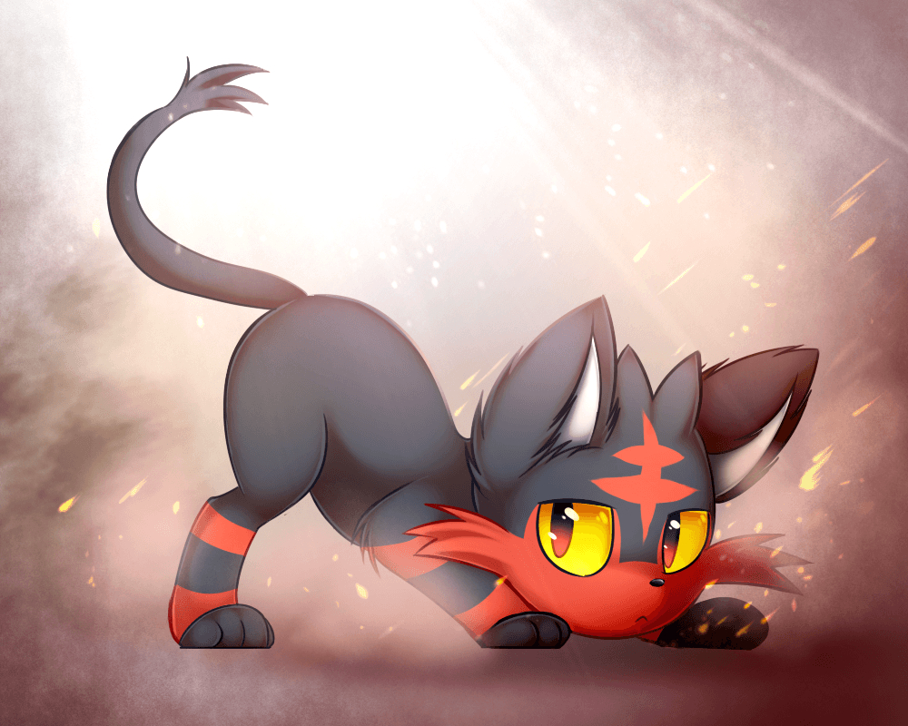 1000x800 Litten is Lit image Litten HD wallpaper and background photo, Desktop