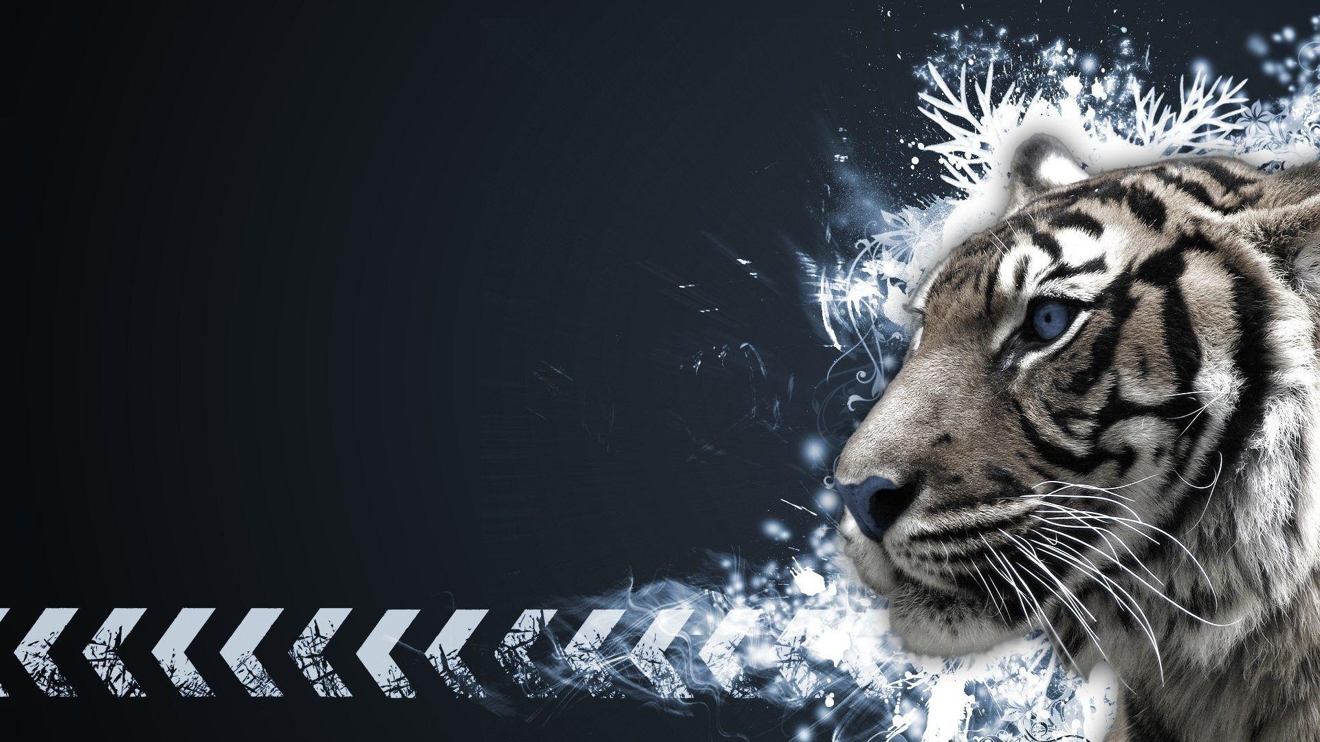 1920x1080 Tigers Tag wallpaper: Lions White Tigers Tiger Liger Cats, Desktop