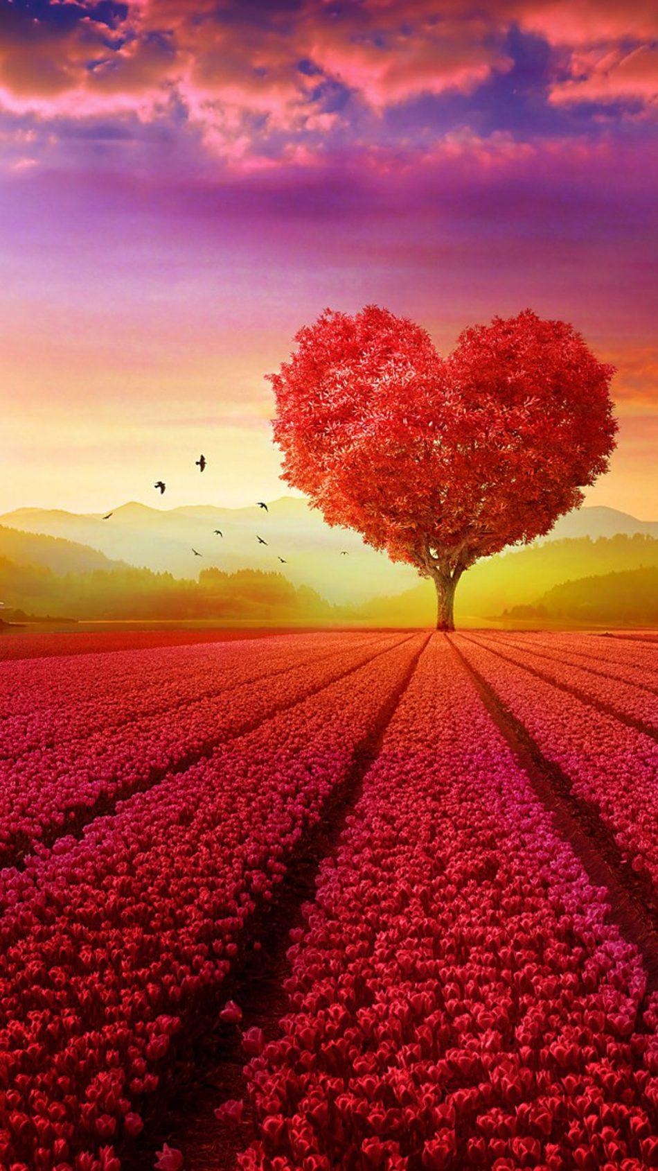 950x1690 Free download Download Love Heart Shape Tree Flowers Pure 4K Ultra HD [] for your Desktop, Mobile & Tablet. Explore Love Wallpaper And Image. Heart Love Wallpaper Image, Best, Phone