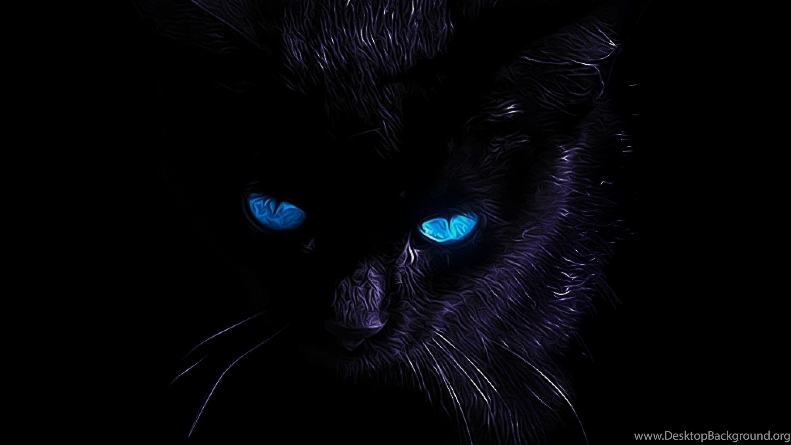 2560x1440 Zendha: Black Cat Wallpaper 4k, Desktop