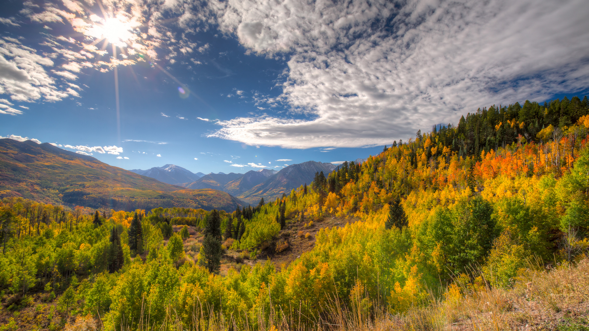 2050x1160 Experience Autumn in the Rockies: Behold the Quaking Aspen, Desktop