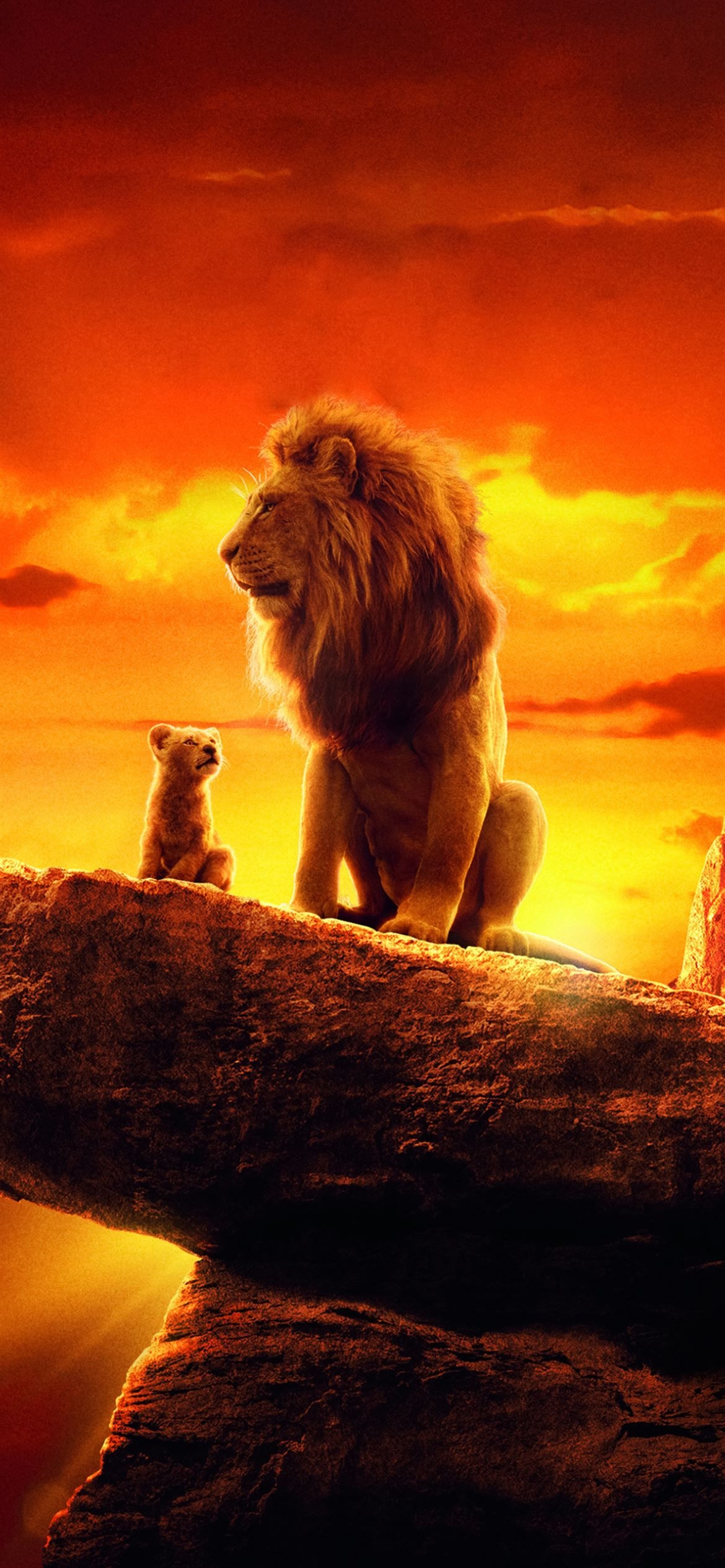 1170x2540 the lion king 2019 4k movie iPhone 12 Wallpaper Free Download, Phone