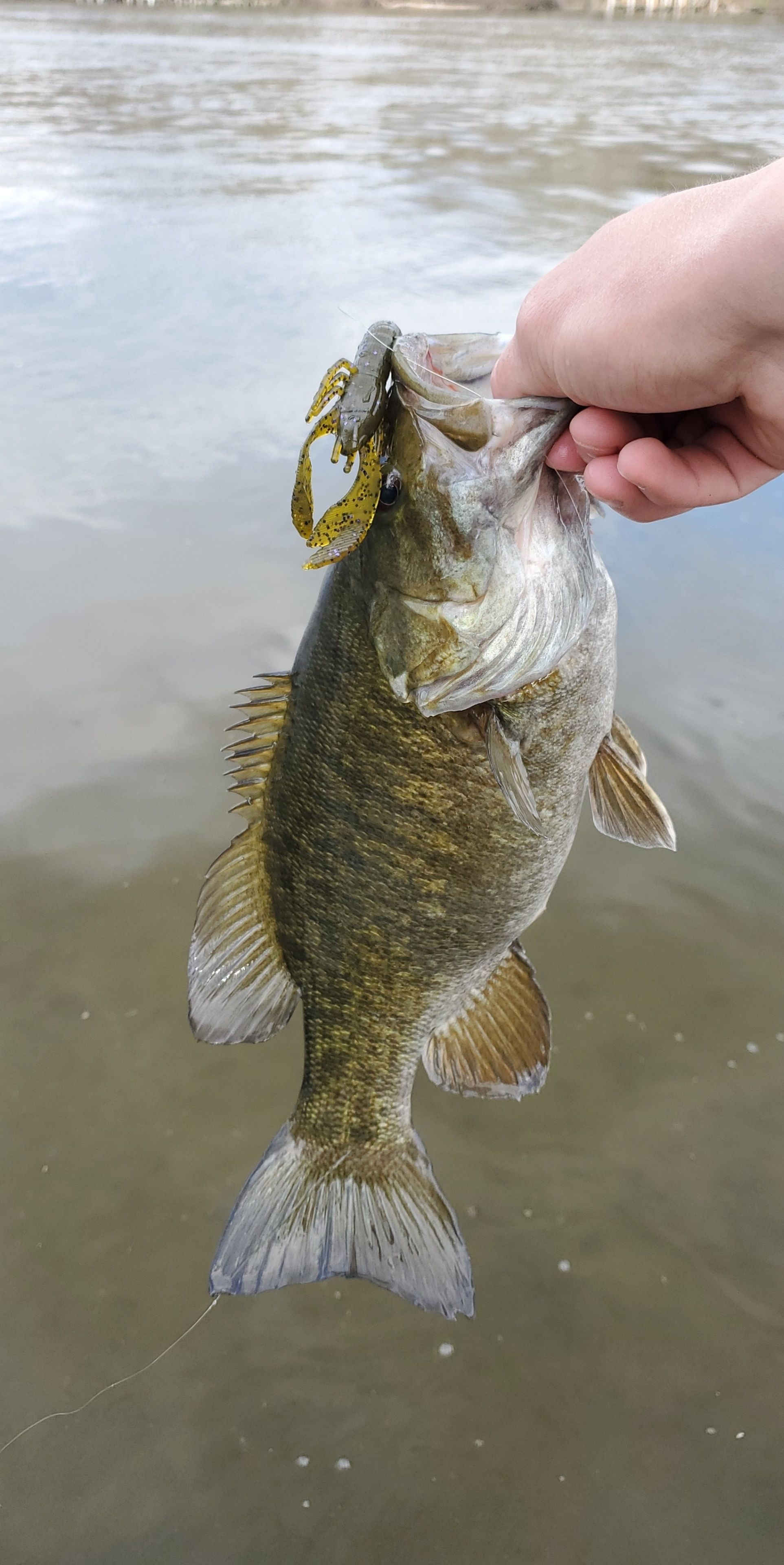 1930x3840 Catch from last spring has been my phone's wallpaper for a couple months now. 16in on a ned rigged craw: bassfishing, Phone