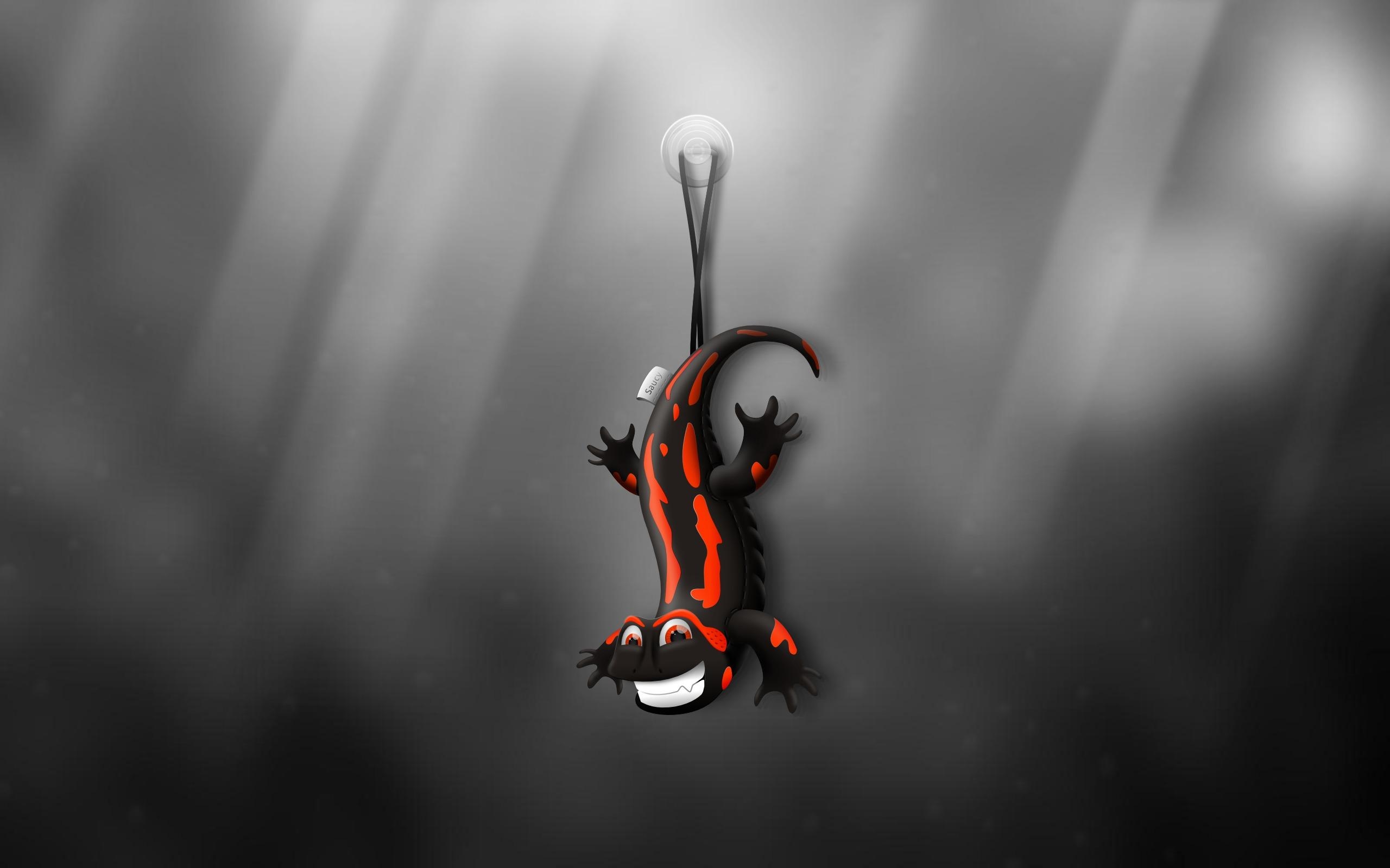 2560x1600 Salamander HD Wallpaper, Desktop