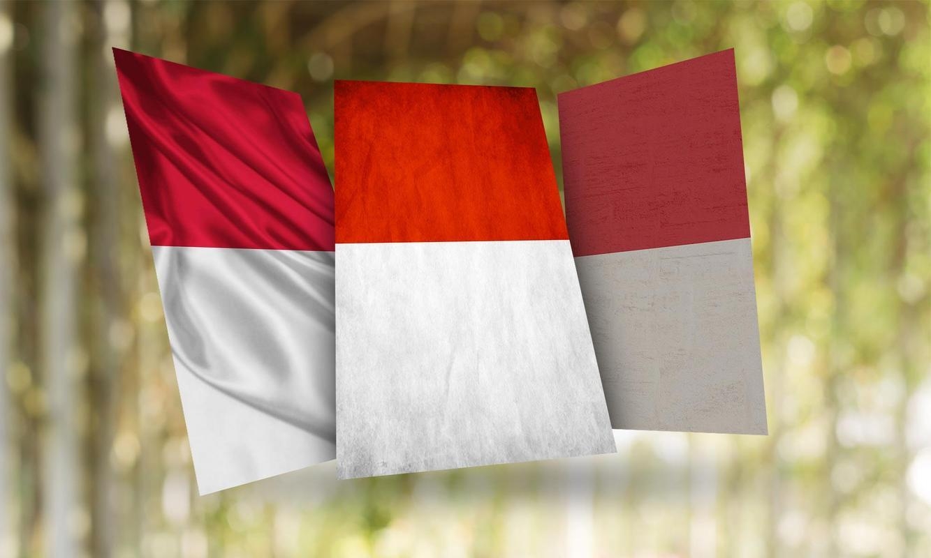 1340x800 Monaco Flag Wallpaper for Android, Desktop