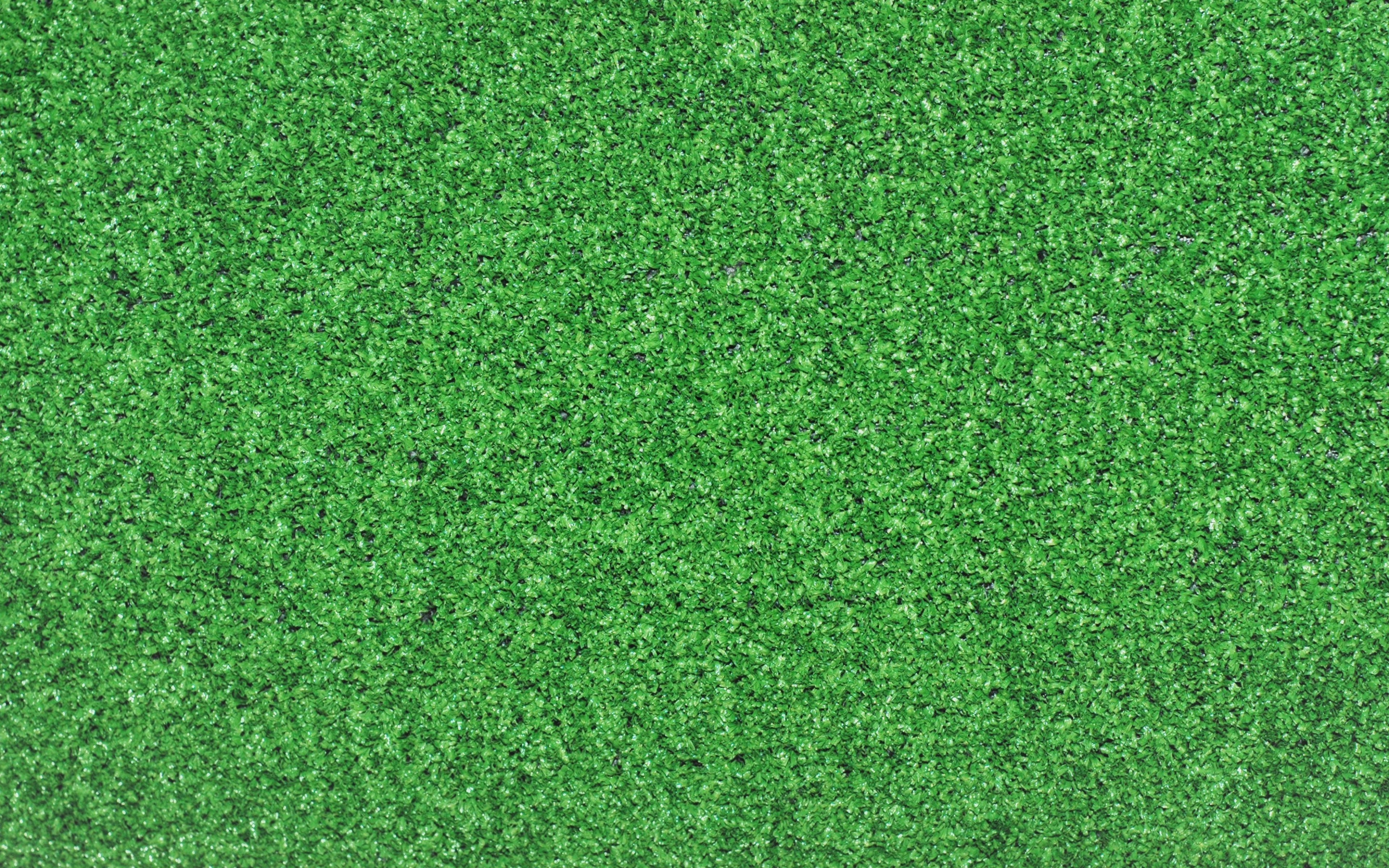 3840x2400 Grass Background, Desktop