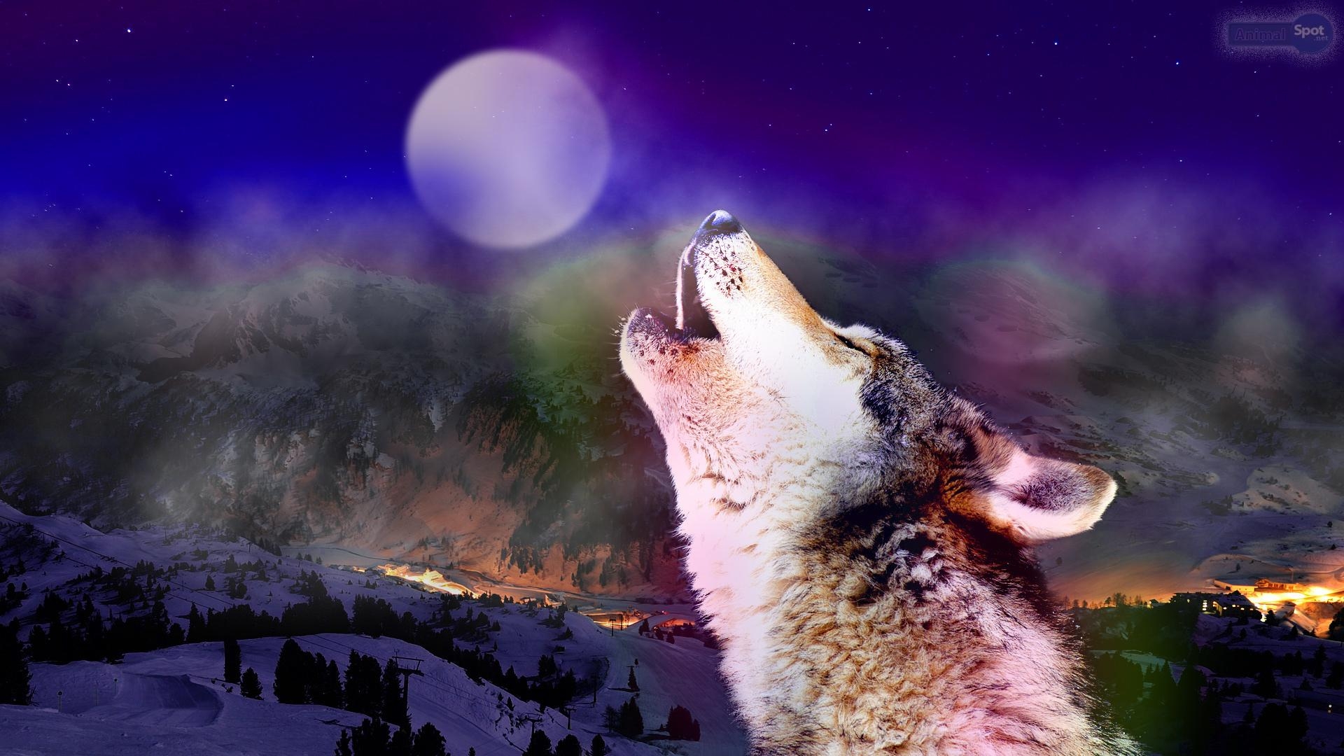 1920x1080 Wolf Fantasy Abstract Background Wallpaper on Desktop Nexus, Desktop