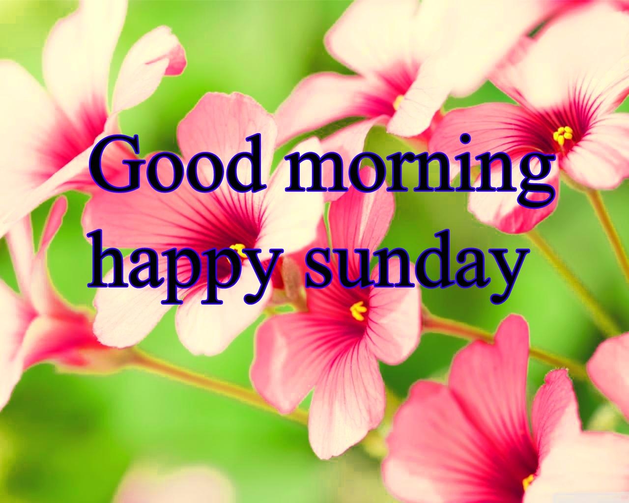 1280x1030 Happy Sunday Image Sekspiccom Free Image Hosting Script, Desktop