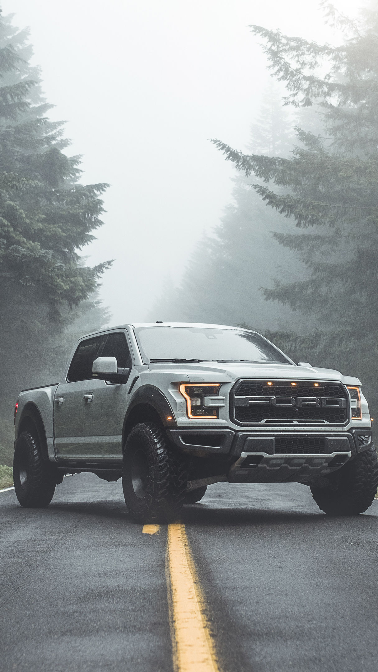 1220x2160 Ford F 150 Raptor, Phone