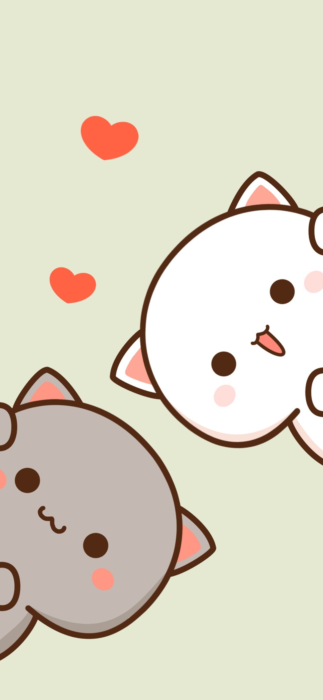 1130x2440 Peach and Goma. Gatos pretos bonitos, Desenhos de gatinhos fofos, Wallpaper bonitos, Phone