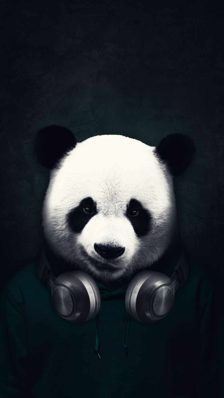 900x1600 Music Panda IPhone Wallpaper Wallpaper, iPhone Wallpaper, Phone