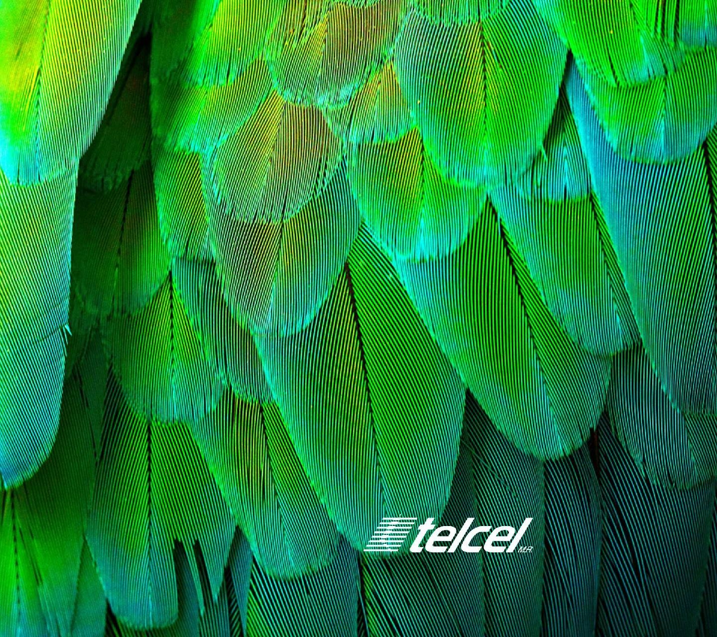 1440x1280 Green Telcel Wallpaper, Desktop