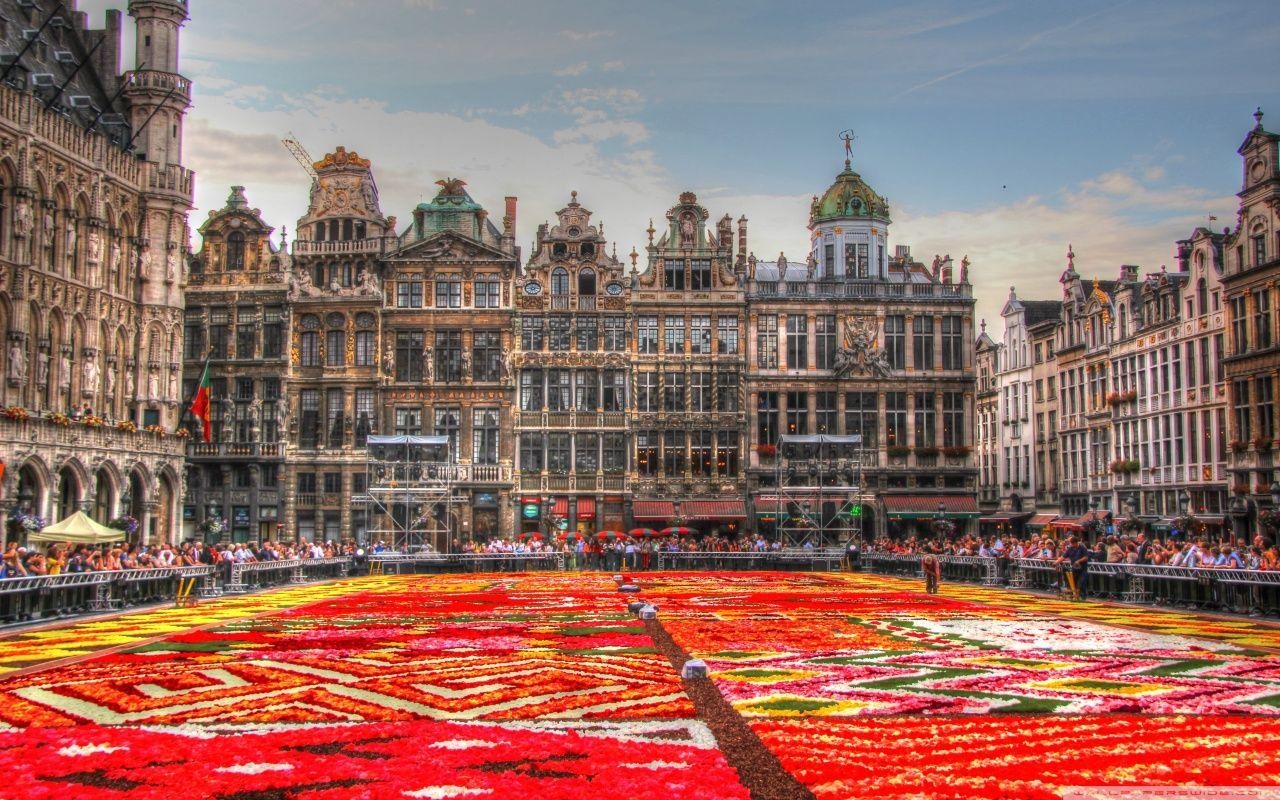 1280x800 Flower Carpet Place, Belgium HD desktop, Desktop