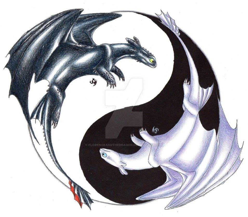 960x840 Yin and Yang Toothless and Light Fury, Desktop