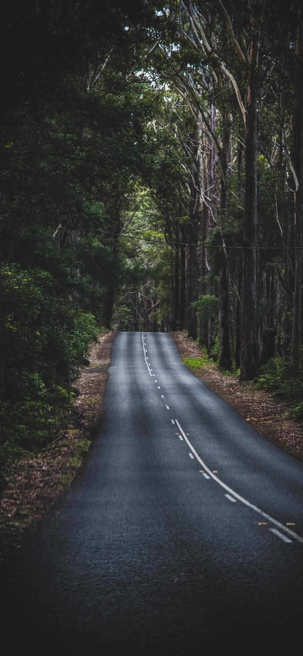 1250x2690 Mountain Road Wallpaper Free Mountain Road Background, Phone