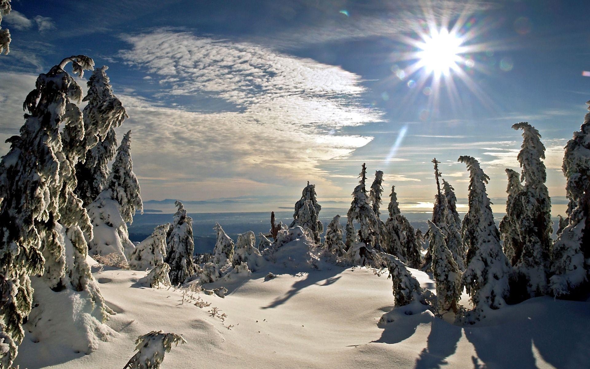 1920x1200 Winter Sun Wallpaper Nature, Desktop