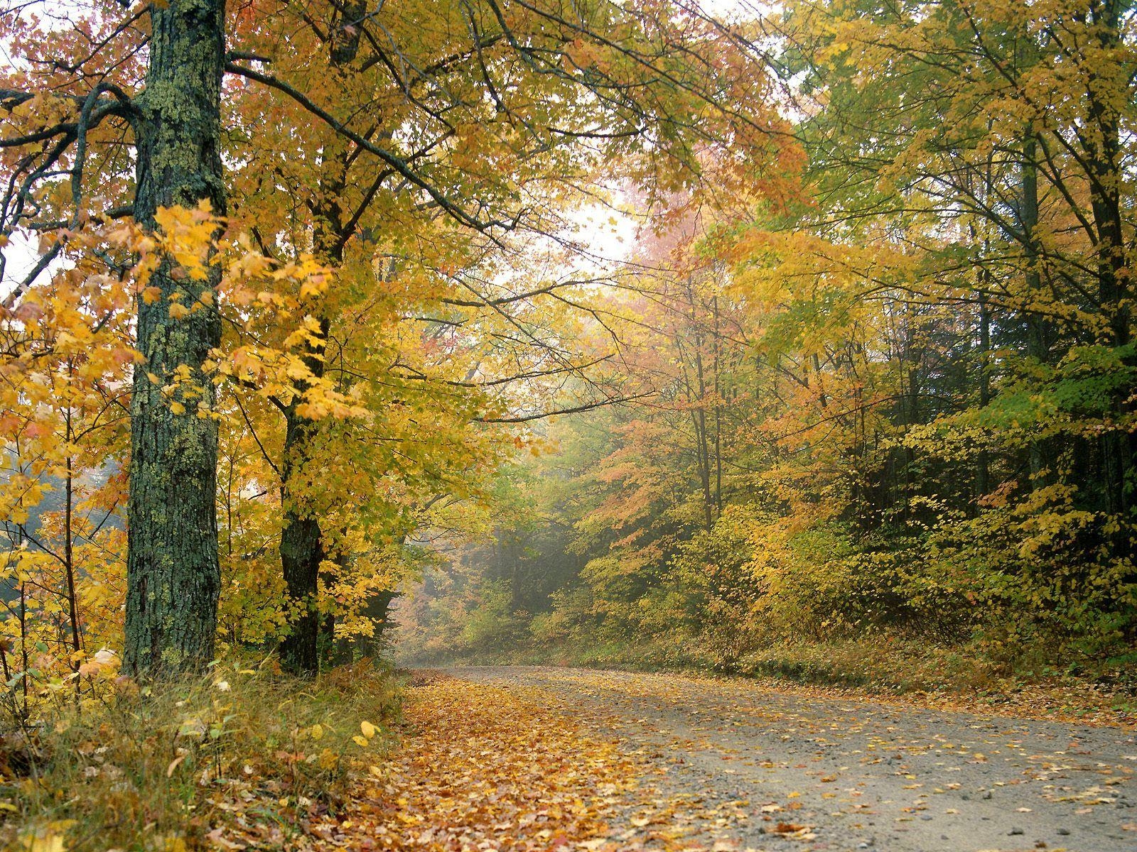 1600x1200 Crisp Autumn Afternoon Vermont HD Wallpaper, Desktop