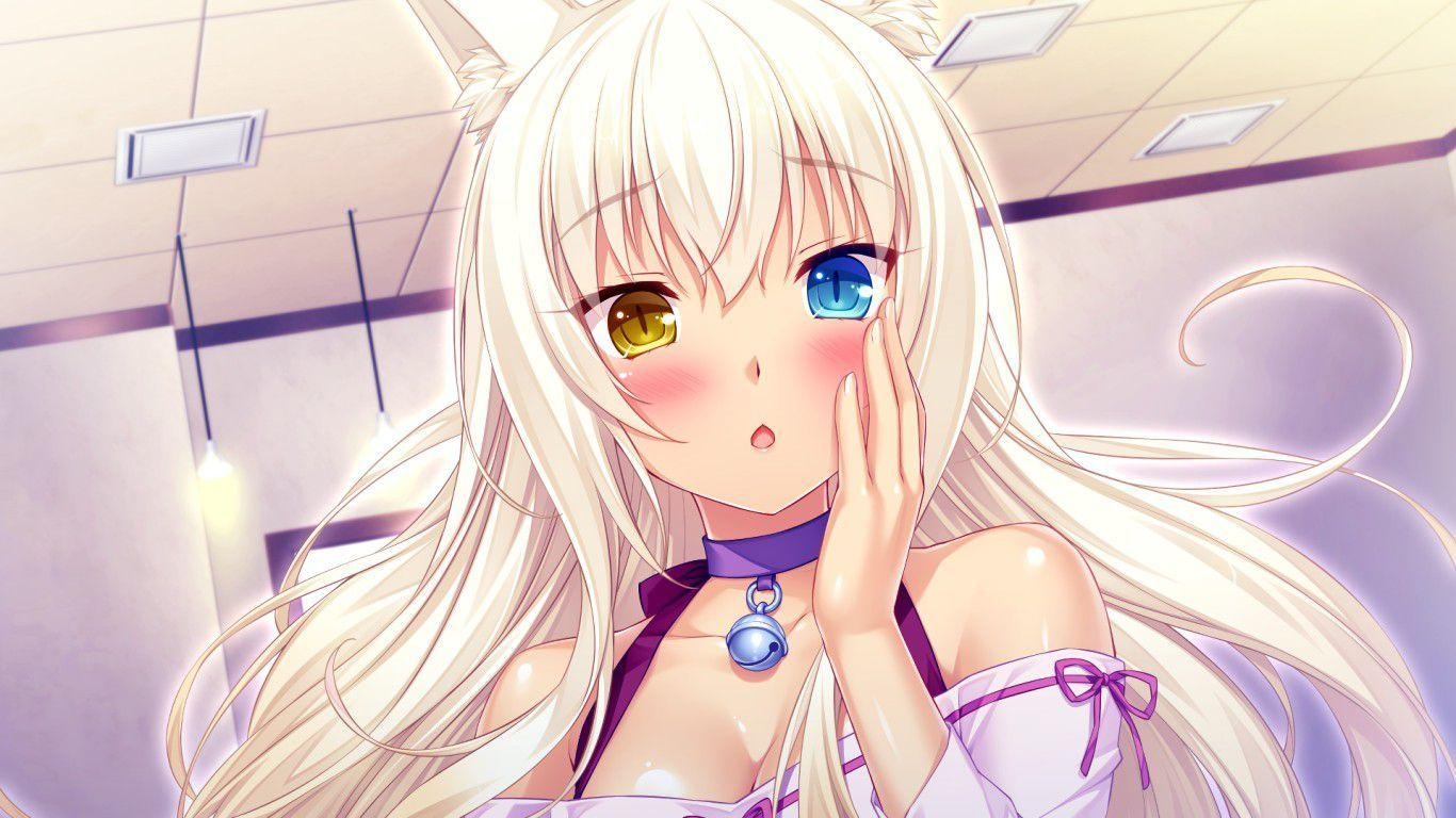 1370x770 Nekopara Wallpaper Desktop Background, Desktop