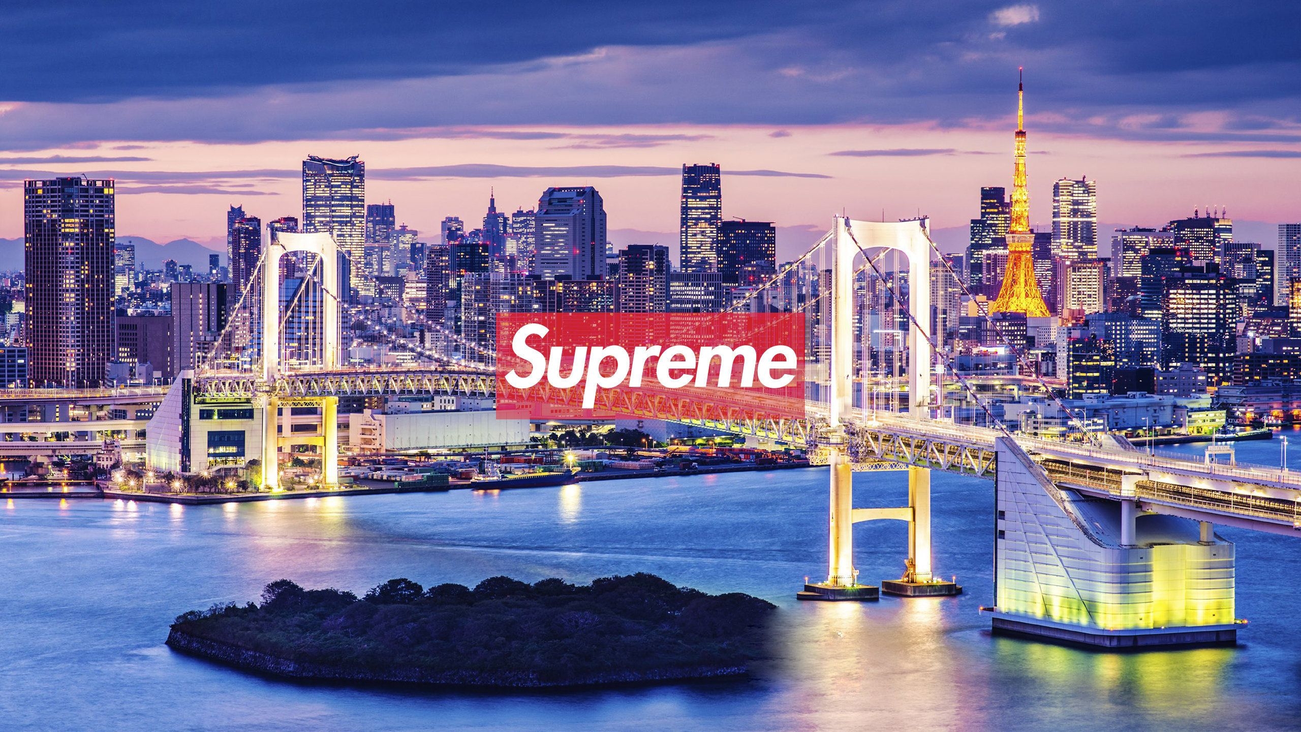 2560x1440 Tokyo Supreme Wallpaper, Desktop