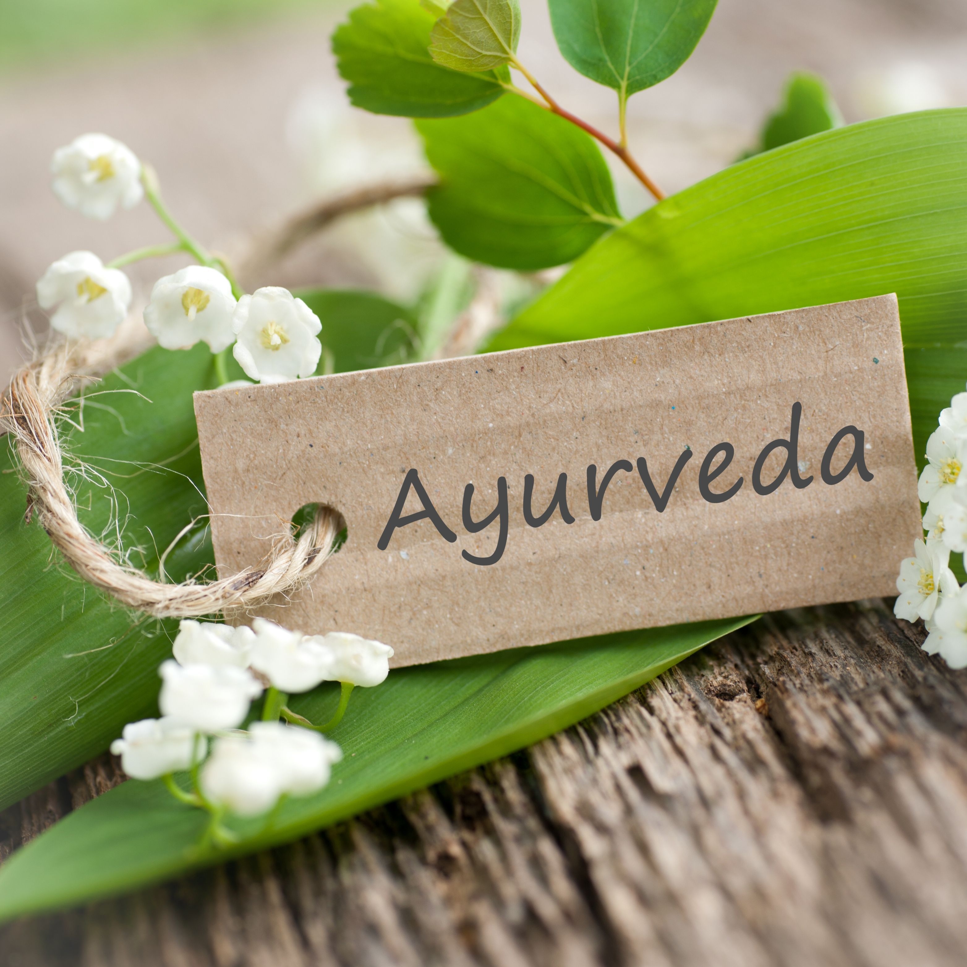 3130x3130 Daily Ayurveda in 5 Easy Steps!, Phone