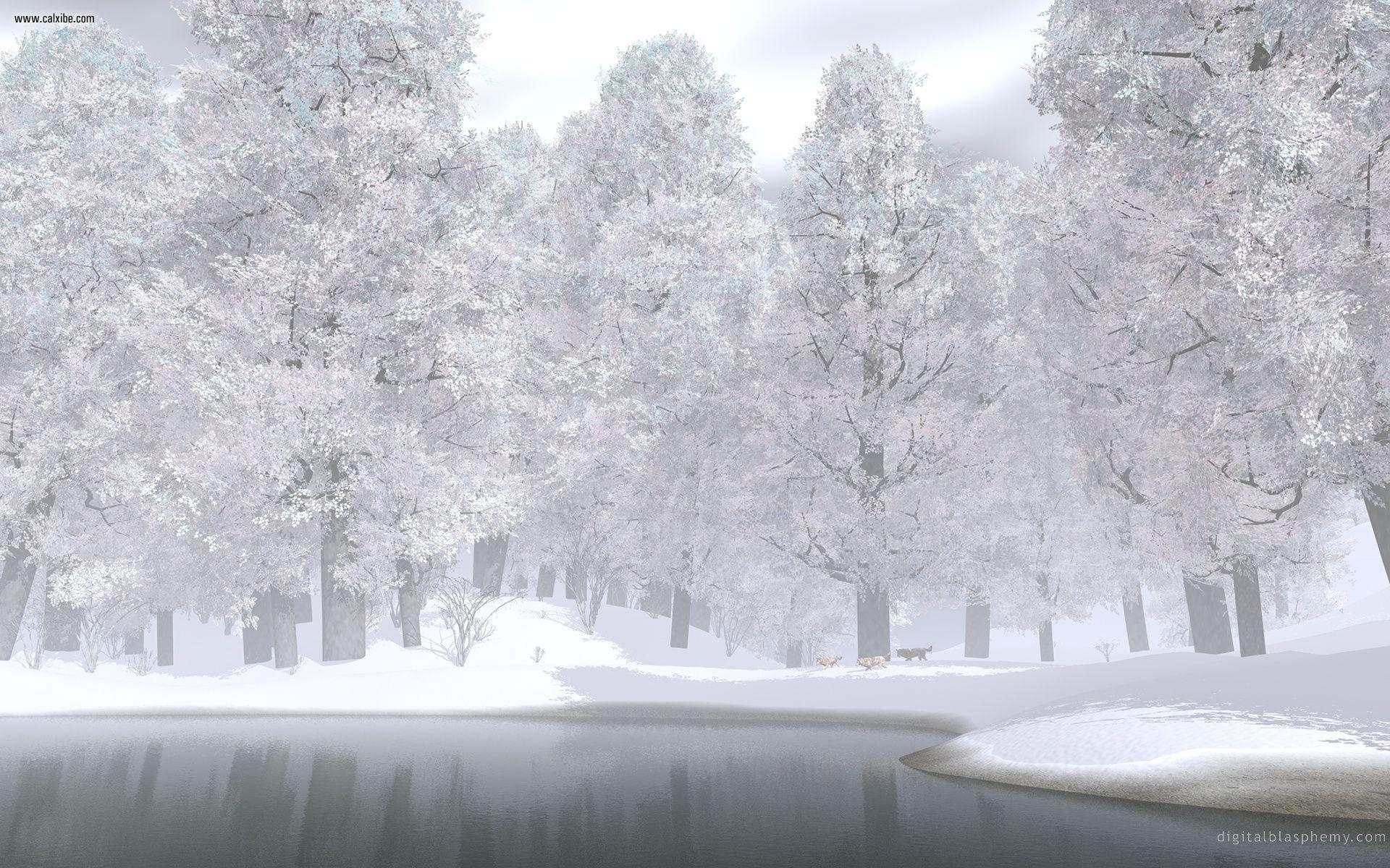 1920x1200 November Snow wallpaper, Desktop