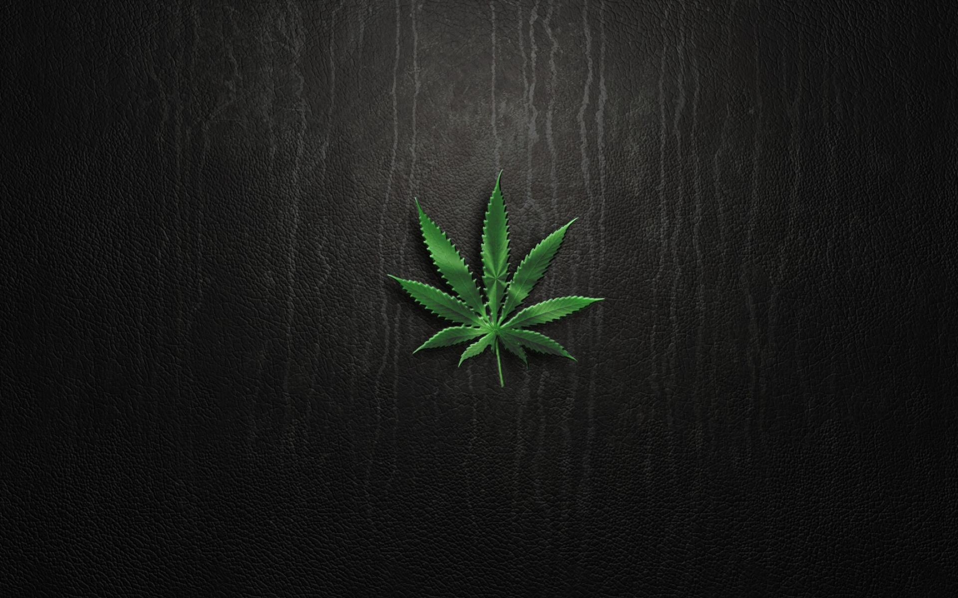 1920x1200 Marijuana plants blunt wallpaper, Desktop