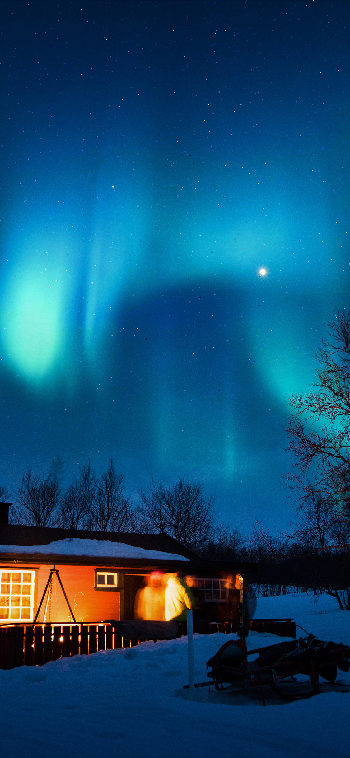 1130x2440 Aurora Night Cold Winter Snow Nature, Phone