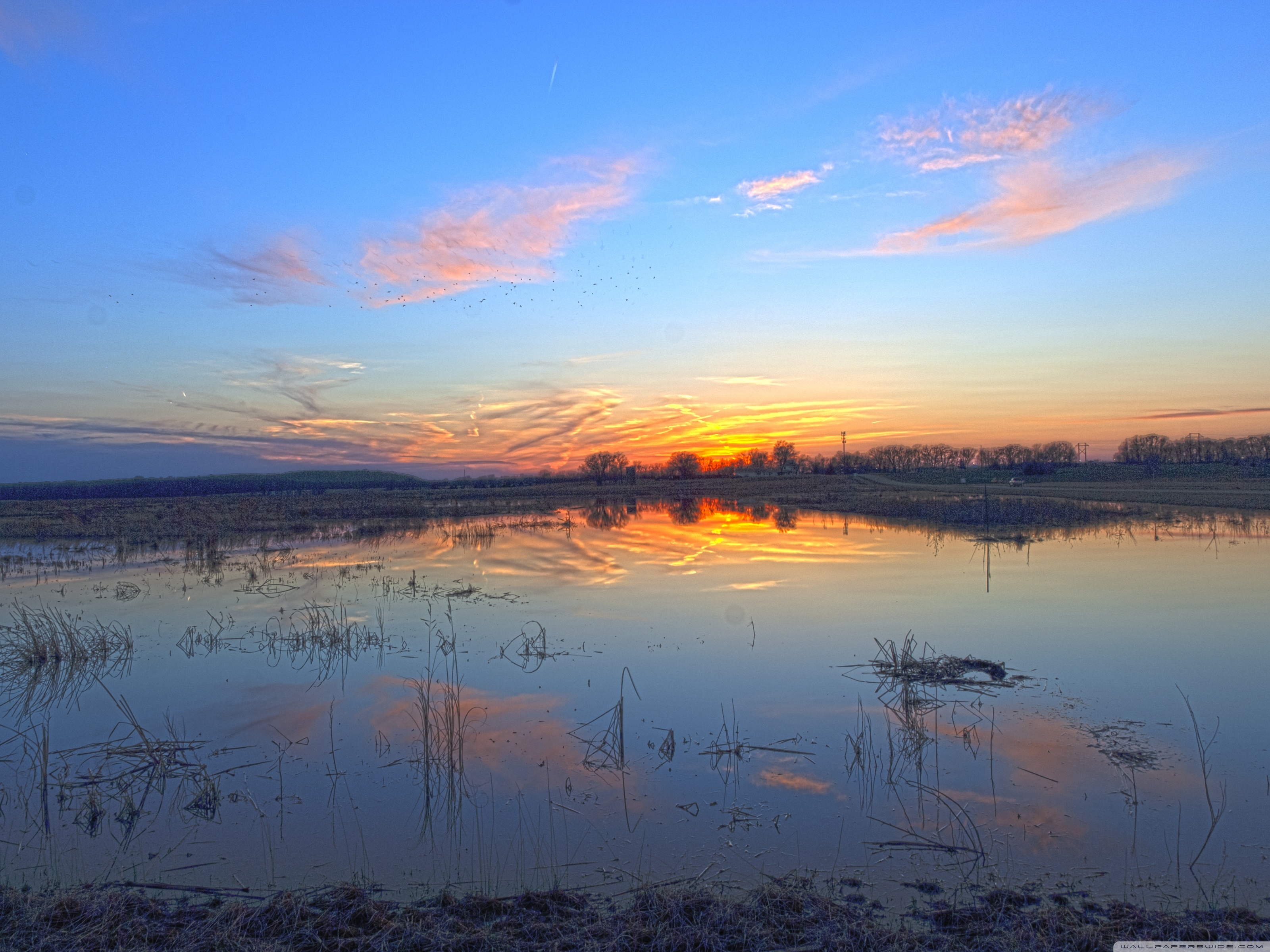 3200x2400 Baker Wetlands, Kansas ❤ 4K HD Desktop Wallpaper for 4K Ultra HD TV, Desktop