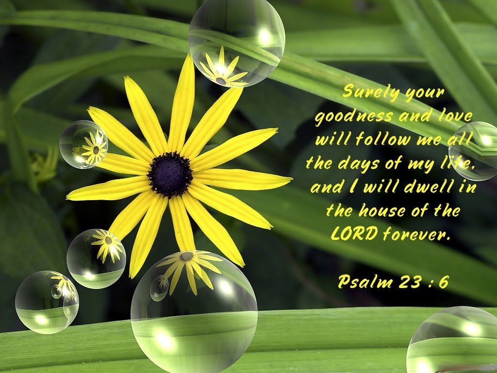 1030x770 Psalm 23:6. Psalms, Psalm Psalm 23 6, Desktop