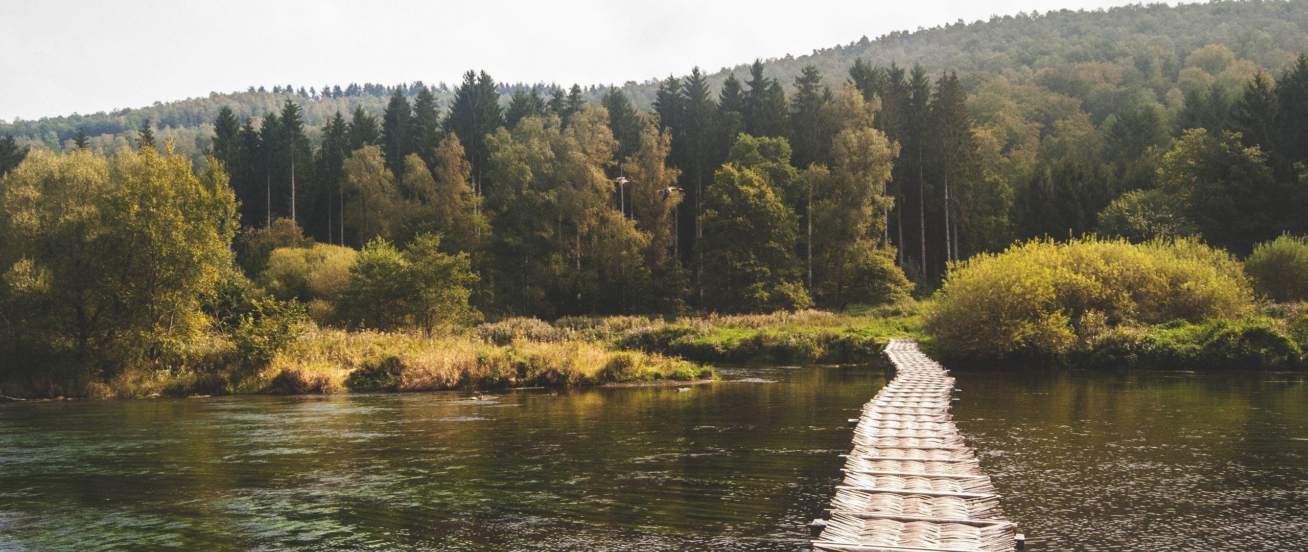 2560x1080 Download wallpaper  bridge, forest, river dual wide 1080p, Dual Screen