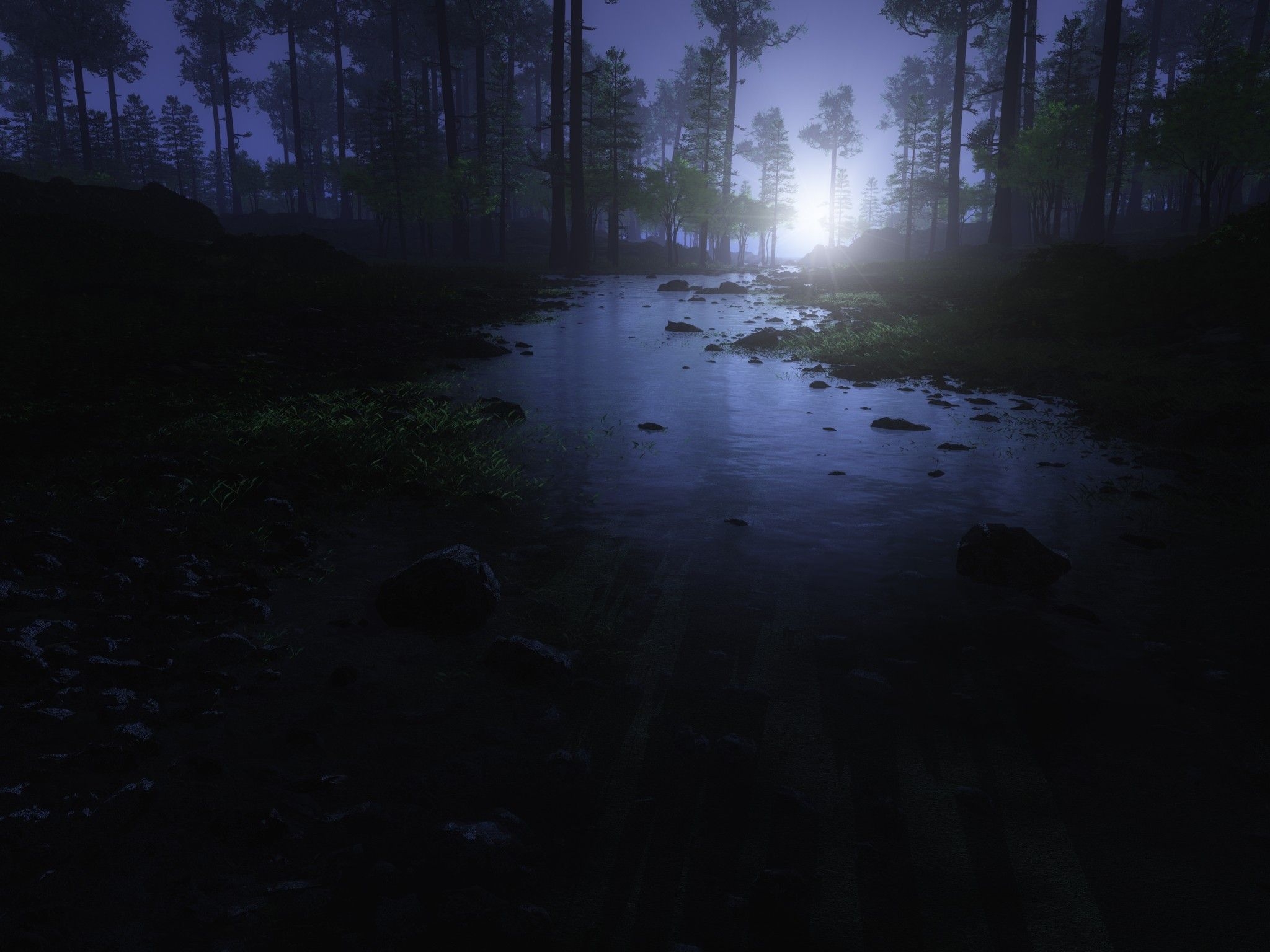 2050x1540 Dark Forest 4K Wallpaper, Water Stream, Trees, Landscape, Woods, Night time, Nature, Desktop