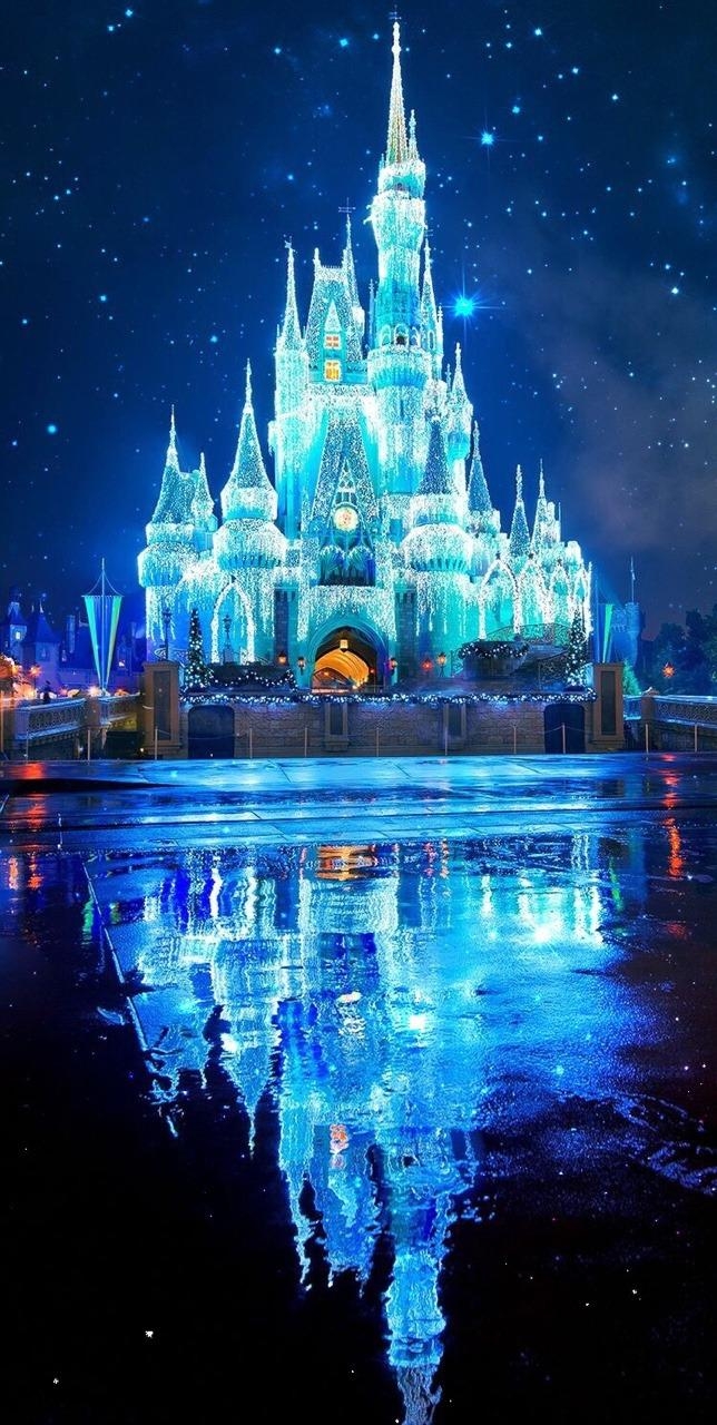 650x1280 Disney World, Cinderella Castle Wallpaper, Phone