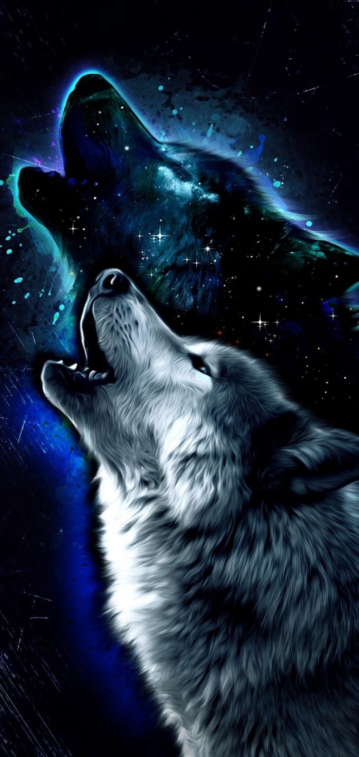 720x1510 HD Wolves Wallpaper, Phone