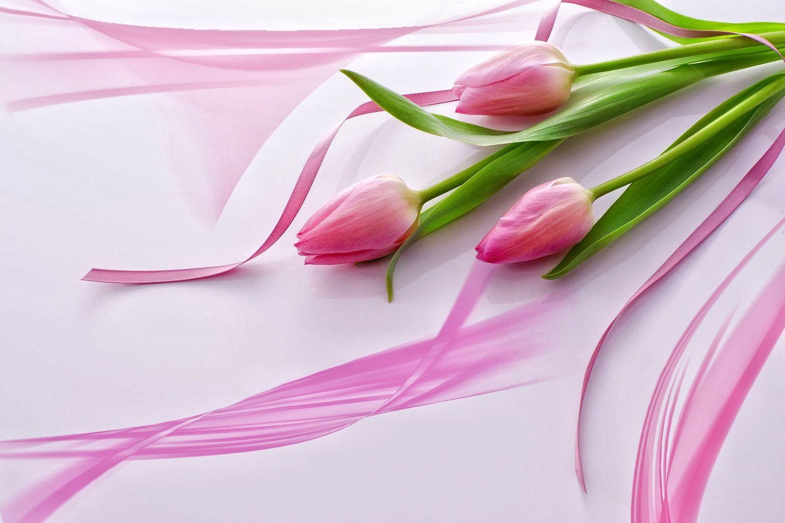 1600x1070 Flowers For > Beautiful Pink Tulip Wallpaper, Desktop