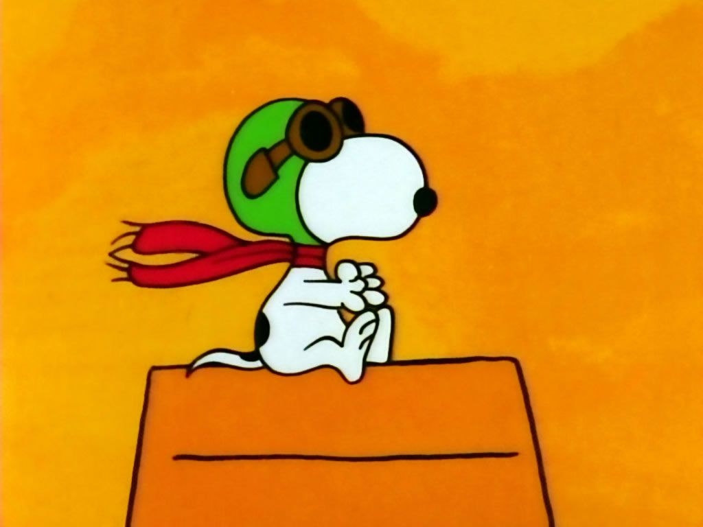 1030x770 Halloween Snoopy Wallpaper, Desktop