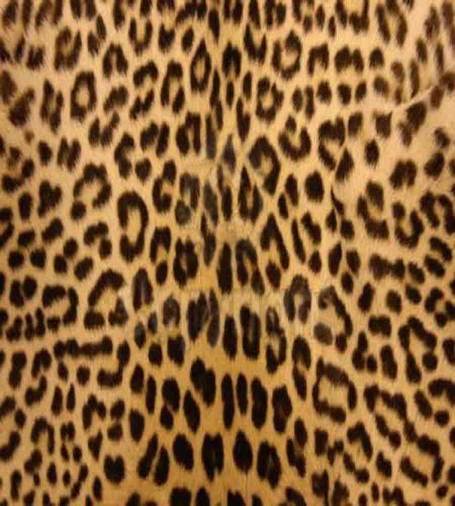 900x1000 Cheetah Print Desktop Background, Phone