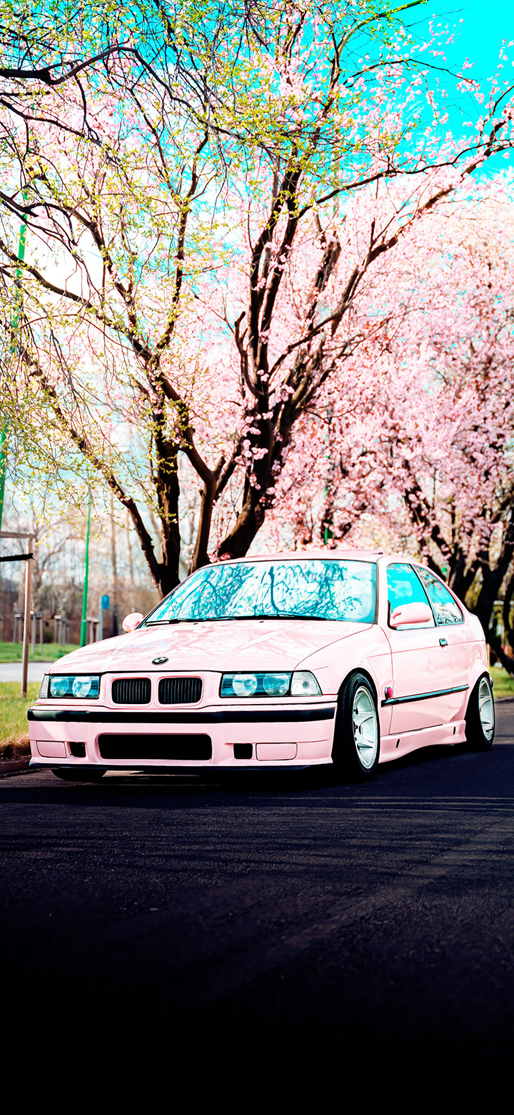 720x1560 Aesthetic Bmw Under A Cherry Blossom Tree 4K Phone Wallpaper, Phone