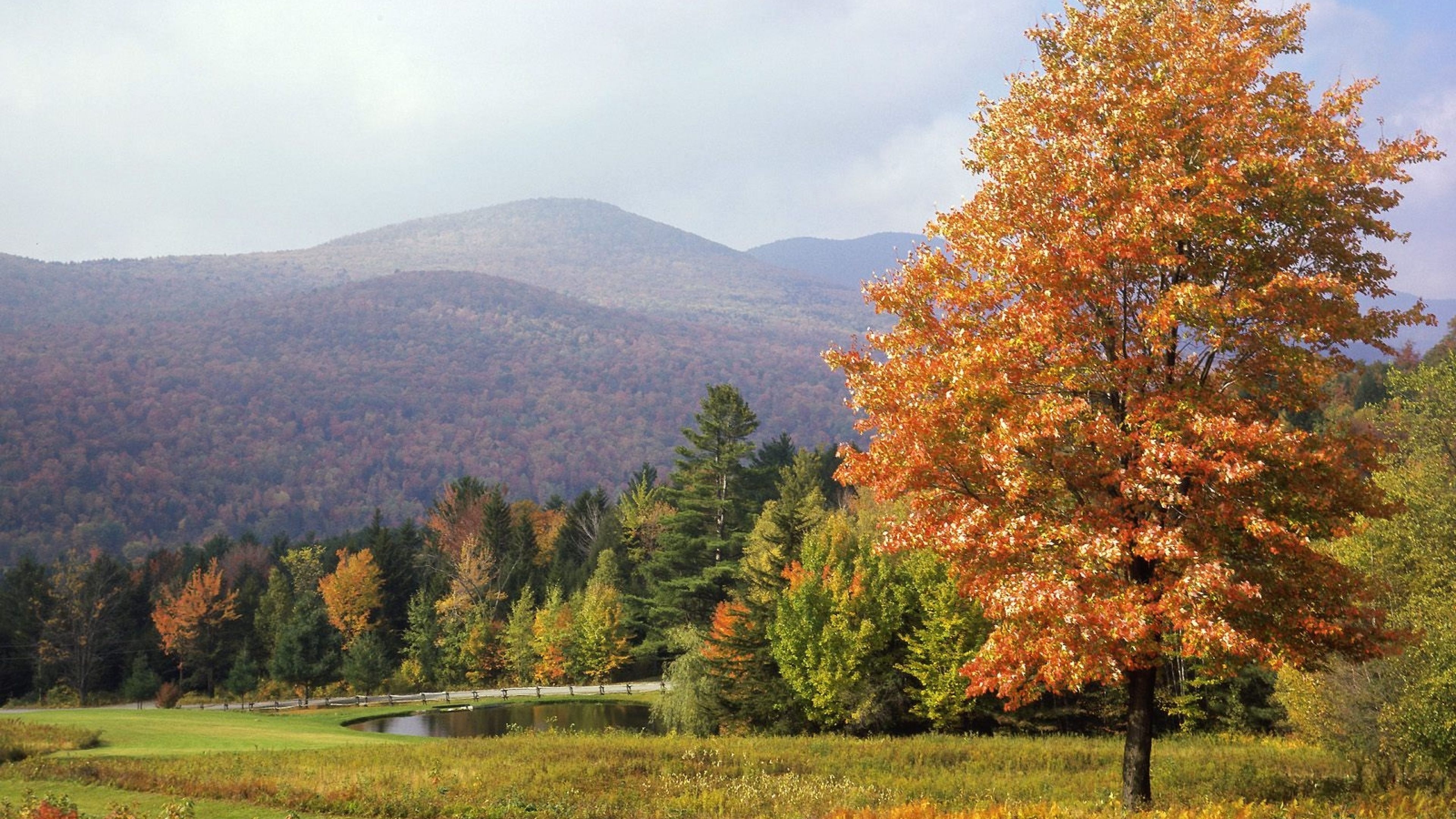 3840x2160 Download Wallpaper  Park, Vermont, Trees, Autumn 4K Ultra, Desktop